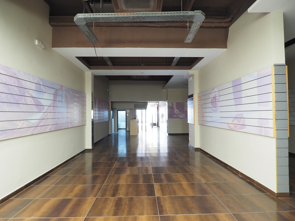 Local en alquiler en Centre, Pl. Olles-Sta. Anna