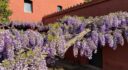 Venta de masía en Bigues i Riells del Fai