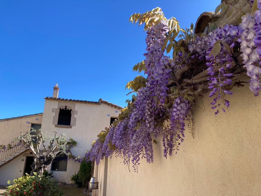 Venta de masía en Bigues i Riells del Fai