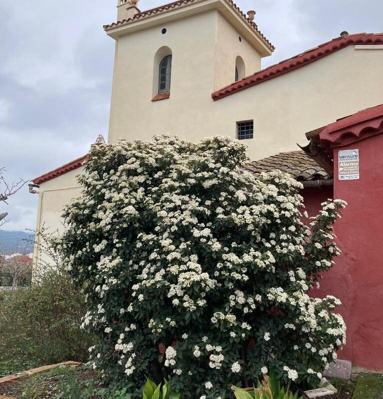 Venta de masía en Bigues i Riells del Fai