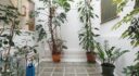 Casa unifamiliar en venta, centro