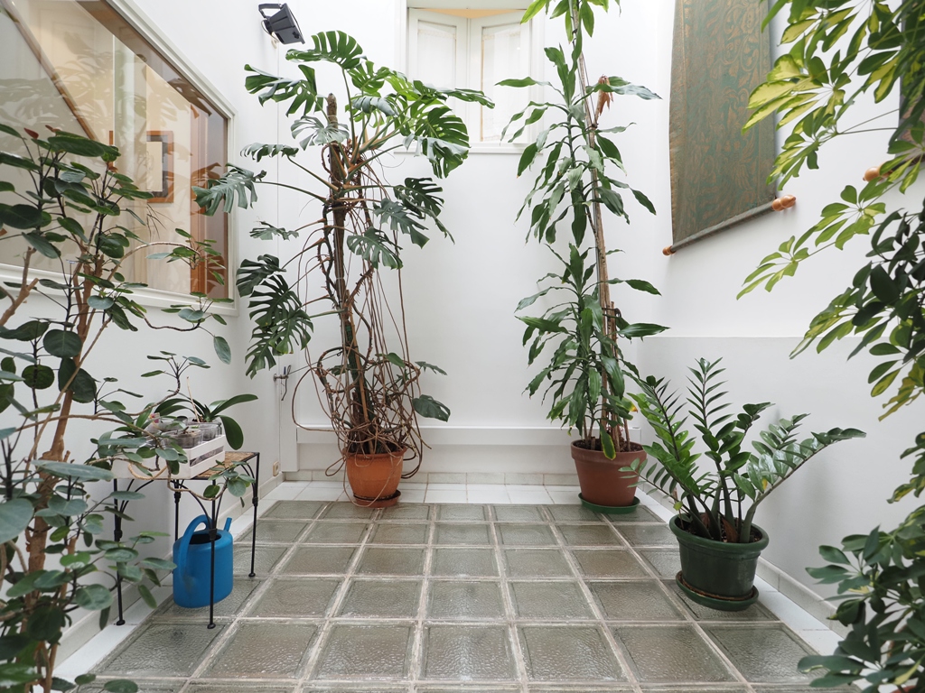 Casa unifamiliar en venta, centro